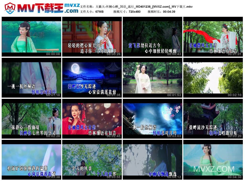 天籁天-丝桐心醉_国语_流行_MD401238